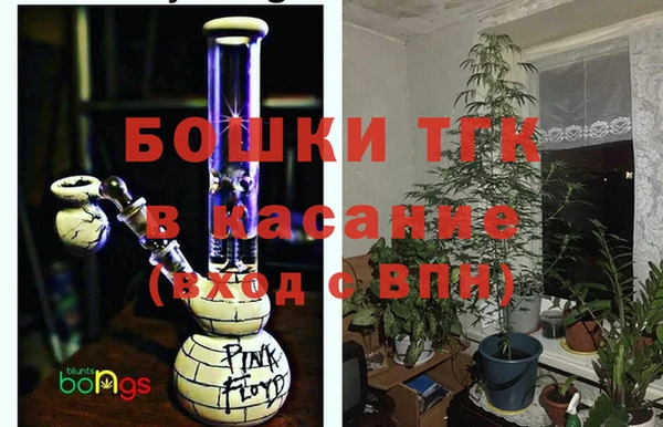 ГАЛЛЮЦИНОГЕННЫЕ ГРИБЫ Сосновка