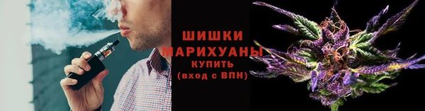 гидра Сосновоборск