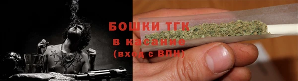 ГАЛЛЮЦИНОГЕННЫЕ ГРИБЫ Сосновка